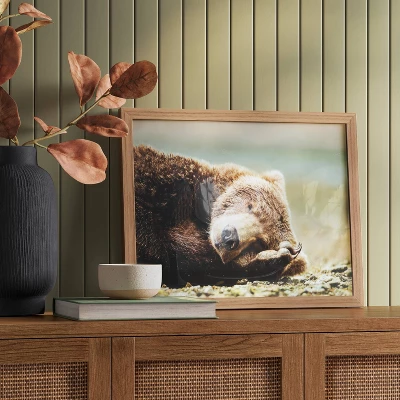 20" X 16" Bear Photography Framed Art Brown - Threshold™ 1 20" X 16" Bear Photography Framed Art Brown - Threshold™