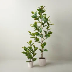 73" Faux Rubber Leaf Tree - Hearth & Hand™ With Magnolia 5 73" Faux Rubber Leaf Tree - Hearth & Hand™ With Magnolia -Home Decor Sales GUEST 6c20b565 db18 4aa0 adaa 8ad03c3a5063
