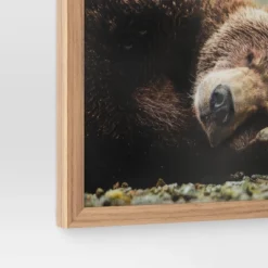 20" X 16" Bear Photography Framed Art Brown - Threshold™ 5 20" X 16" Bear Photography Framed Art Brown - Threshold™ -Home Decor Sales GUEST 8d29808a 8d0a 4121 a8c8 64d15cc45658