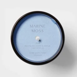 Colored Vase Glass With Dustcover Marine Moss Candle Blue - Threshold™ -Home Decor Sales GUEST e5035607 20cd 4e66 bc9b 502503c48b69